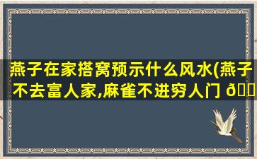 燕子在家搭窝预示什么风水(燕子不去富人家,麻雀不进穷人门 🌴 )